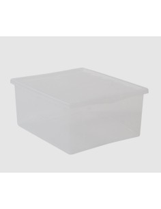 BOX E CONTENITORI SALVASPAZIO: vendita online Storage Box Spring M, 42x35x18 cm, contenitore plastica, con coperchio, salvasp...