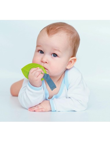 INFANZIA: vendita online BABY PALESTRA ATTIVITA'PRIME SCOPERTE 17757 in offerta