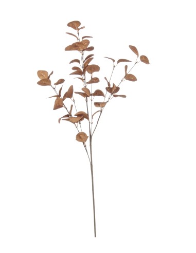 FIORI: vendita online RAMO 0172761 EUCALYPTUS CINEREA ARANCIO 70CM in offerta