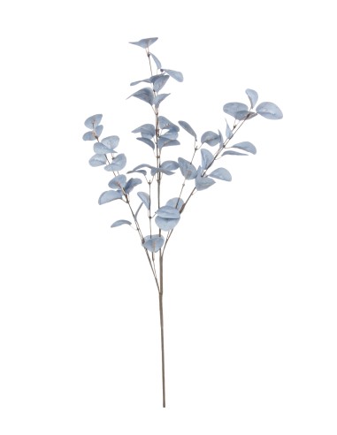 FIORI: vendita online RAMO 0172764 EUCALYPTUS CINEREA AZZURRO 70CM in offerta