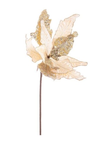 FIORI: vendita online POINSETTIA ARYA CHAMPAGNE H50CM in offerta