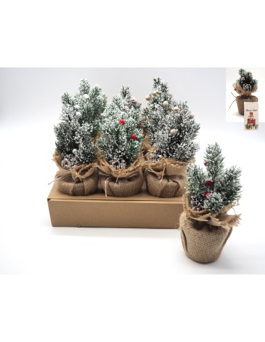 FIORI: vendita online PIANTINA 14411 PINO INNEVATO 21CM BASE JUTA in offerta