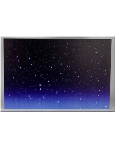 ACCESSORI PRESEPE: vendita online QUADRO CIELO 10757 LUMINOSO 60X40 LED in offerta