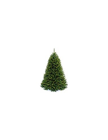 ALBERI DI NATALE: vendita online Albero di Natale "green peak pine" altezza 210cm diametro 148 cm con 1323 rami in offerta