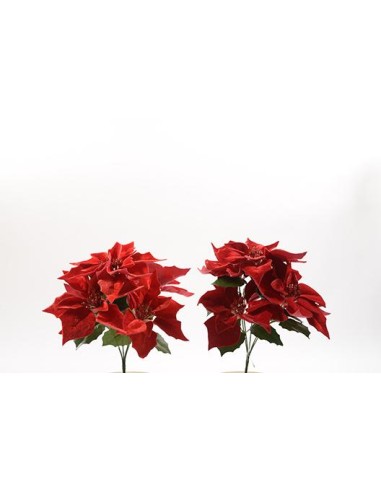 FIORI: vendita online STELLA DI NATALE 73614 35X25X25CM ASSORTITO in offerta