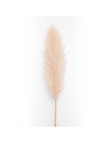 FIORI: vendita online Stelo Pampas Avorio di Natale 160cm - La Magia di Natale con Stile Naturale a Casa Tua in offerta