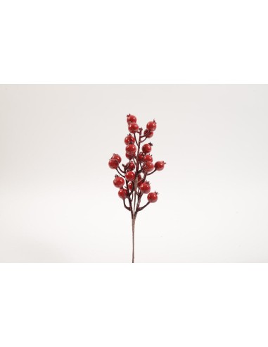 FIORI: vendita online TRALCIO BACCHE ROSSE 12X35CM in offerta