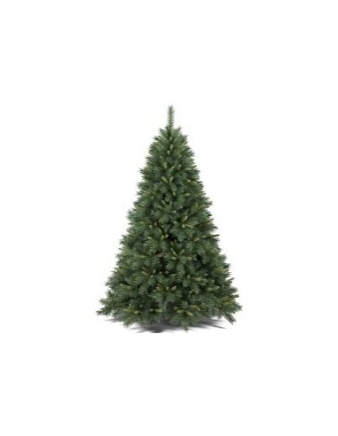 ALBERI DI NATALE: vendita online Albero di Natale "Napapijri" altezza 240cm diametro 149cm con 2280 rami in offerta