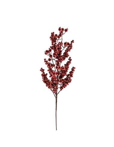 PICK 74467 BACCHE ROSSE 70CM su Shop in Casa