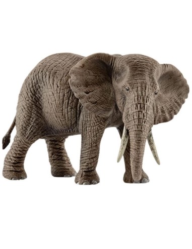 MODELLINO 14761 ELEFANTE AFRICANO FEMMINA su Shop in Casa