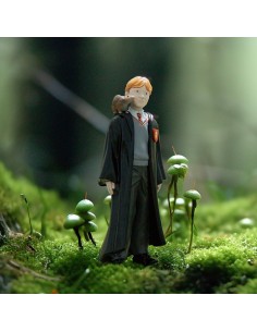 GIOCATTOLO PUBBLICIZZATO: vendita online HARRY POTTER 42634 RON E SCABBERS in offerta