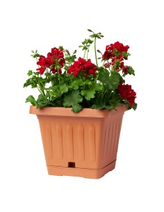 VASI E SOTTO VASI: vendita online VASO TERRA 30399 QUADRATO 20X20 TERRACOTTA in offerta