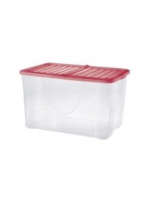 DODO BOX 60LT C/COP 57X39X35CM COLORI ASSORTITI su Shop in Casa