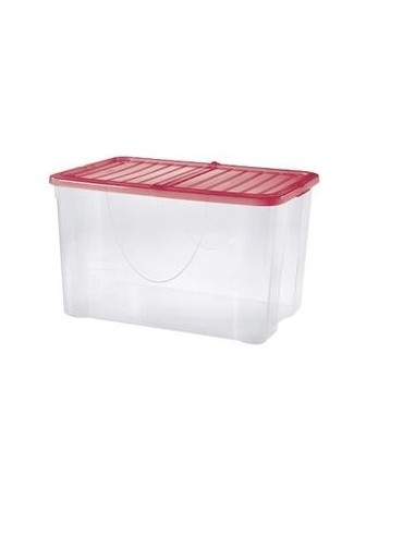 DODO BOX 60LT C/COP 57X39X35CM COLORI ASSORTITI su Shop in Casa