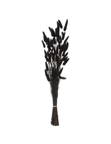 MAZZO FIORI SECCHI 189113D PENNISETO 58CM NERO su Shop in Casa