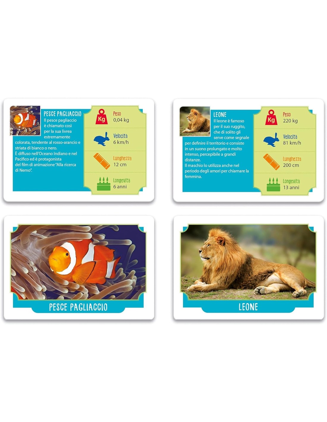 GIOCO DI CARTE ANIMALI DA RECORD PER SCOPRIRE TANTE CURIOSITA' SUGL...