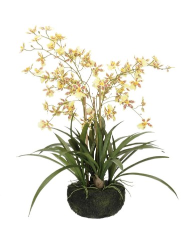 ERONICA ZOLLA C/ORCHIDEE GIALLE L