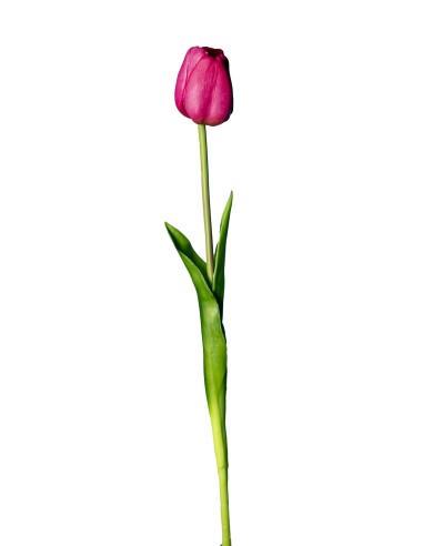 FIORE 18120005-57 TULIPANO ROSA 45CM