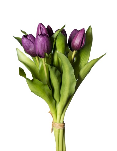 MAZZO 18120008-110 TULIPANI VIOLA 7 FIORI