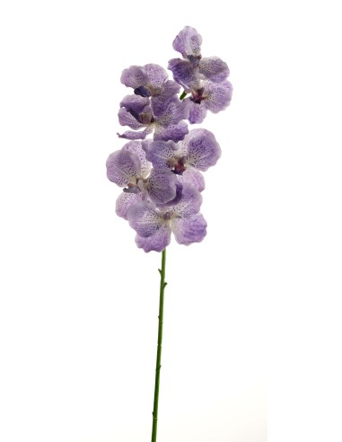 PIANTA 18090002-17 ORCHIDEA LAVANDA 80CM