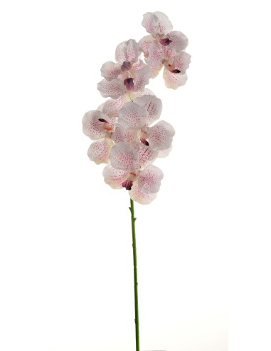 PIANTA 18090002-91 ORCHIDEA BIANCO/ROSA 80CM