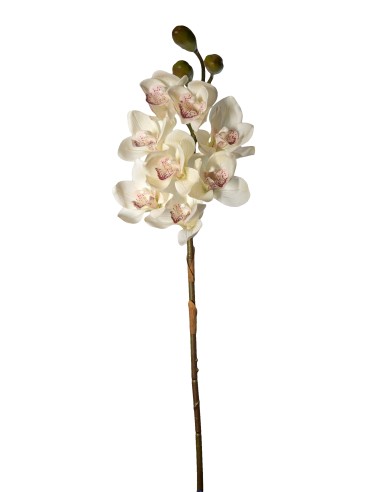 PIANTA 27000303-10 CIMBYDIUM BIANCO 75CM 8 FIORI