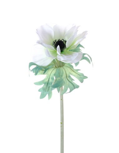 PIANTA 2700055-72 ANEMONE BIANCO 46CM