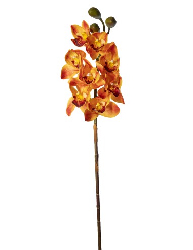 PIANTA 2700303-14 CIMBYDIUM ARANCIO 75CM 8 FIORI