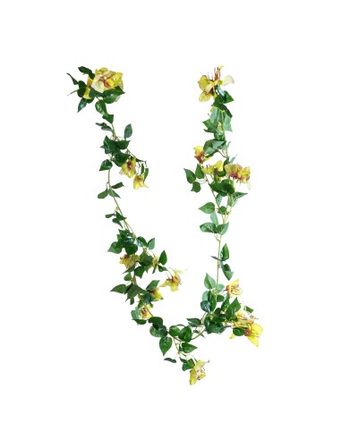 GHIRLANDA 270029276 BOUGAINVILLEA VERDE 180CM su Shop in Casa