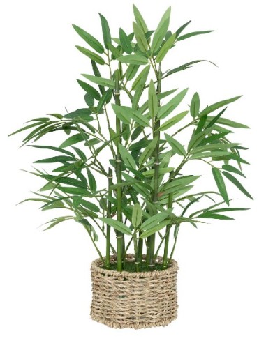 PIANTA 204209 BAMBOO 32X46CM VASO NATURALE