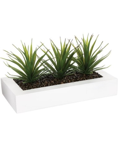 PIANTINA 110376 ALOE VERA 35X15X17CM CON VASO