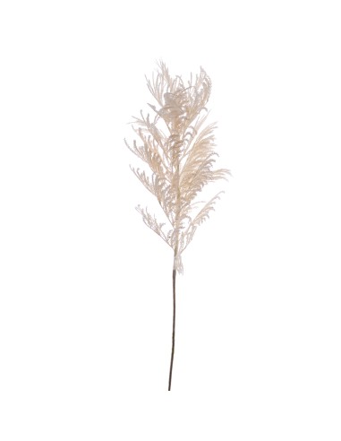 STELO 7639-01 PAMPAS GRASS CREMA