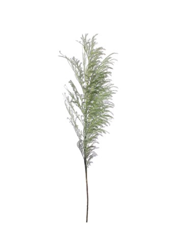 STELO 7639-09 PAMPAS GRASS VERDE