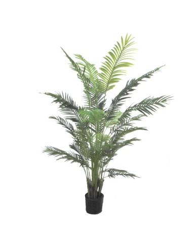 PIANTA 7054-09 ARECA VERDE 2,10MT