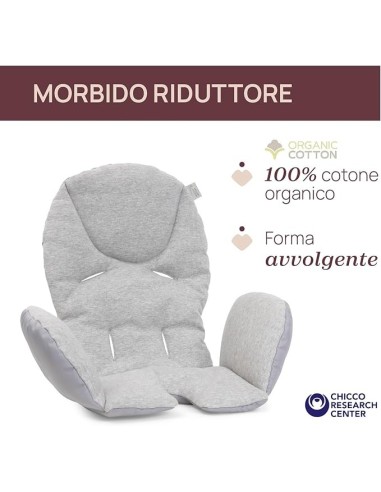 Chicco Polly Armonia Seggiolone Evolutivo - Da 0 Mesi a 40 kg | shopincasa.it