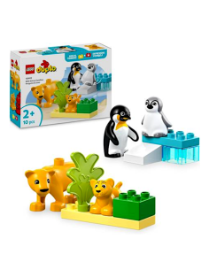 GIOCATTOLO PUBBLICIZZATO: vendita online DUPLO 10442 FAMIGLIE ANIMALI:PINGUINI E LEONI in offerta