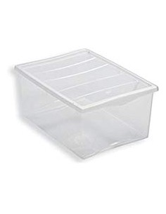 BOX E CONTENITORI SALVASPAZIO: vendita online Spring Box contenitore, 55x39x25cm, plastica resistente, capiente, organizzazio...