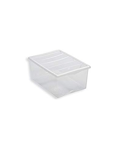 BOX E CONTENITORI SALVASPAZIO: vendita online Spring Box contenitore, 55x39x25cm, plastica resistente, capiente, organizzazio...