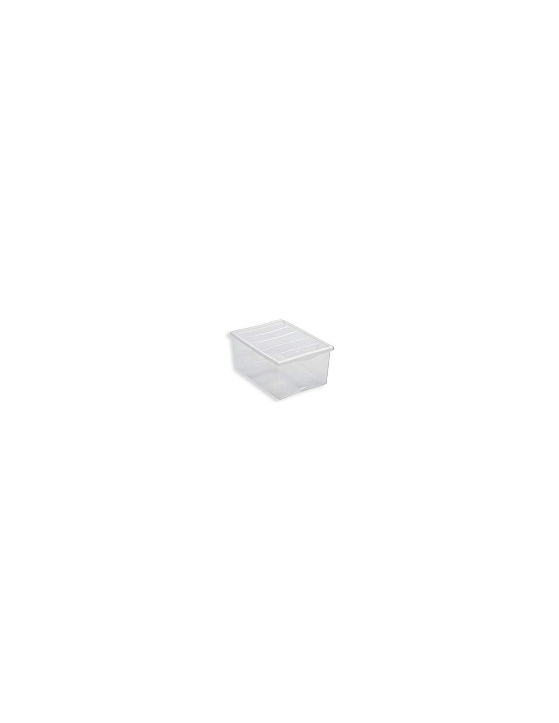 BOX E CONTENITORI SALVASPAZIO: vendita online Spring Box contenitore, 55x39x25cm, plastica resistente, capiente, organizzazio...