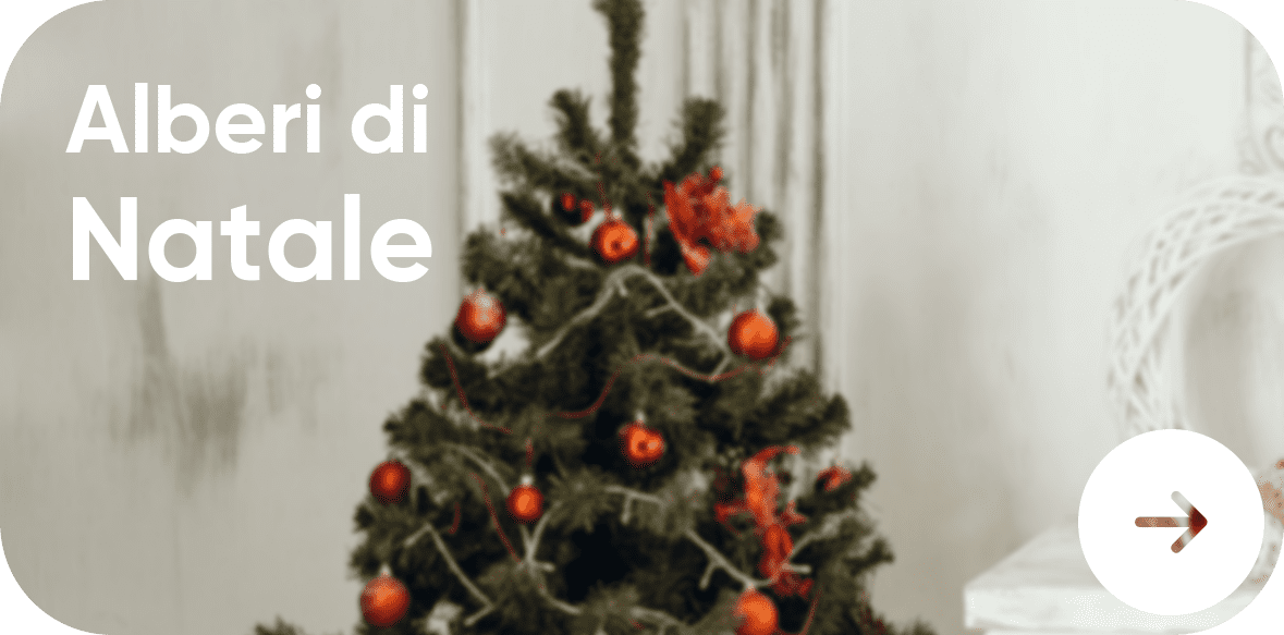 Alberi di Natale